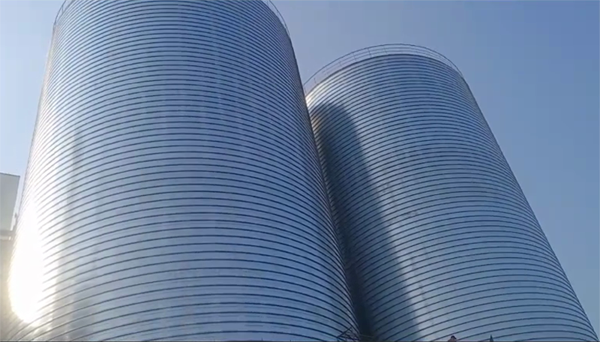 灵川2座混凝土高架卷板仓